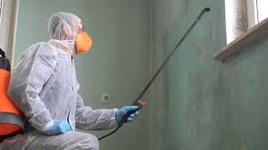 Best Biohazard Mold Removal  in USA